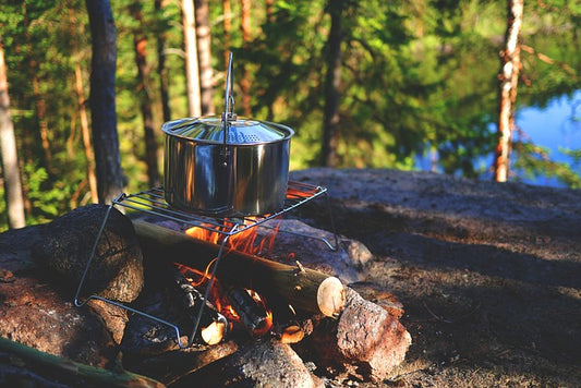 Silent Nights, Fresh Eats: The Ultimate Guide to Gas Fridges for European Camping